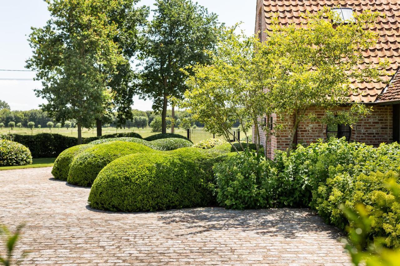 Hoeve Den Akker - Luxueuze Vakantiewoningen Met Privetuinen En Alpaca'S Nabij Brugge, Damme, Knokke, Sluis En Cadzand Exteriör bild
