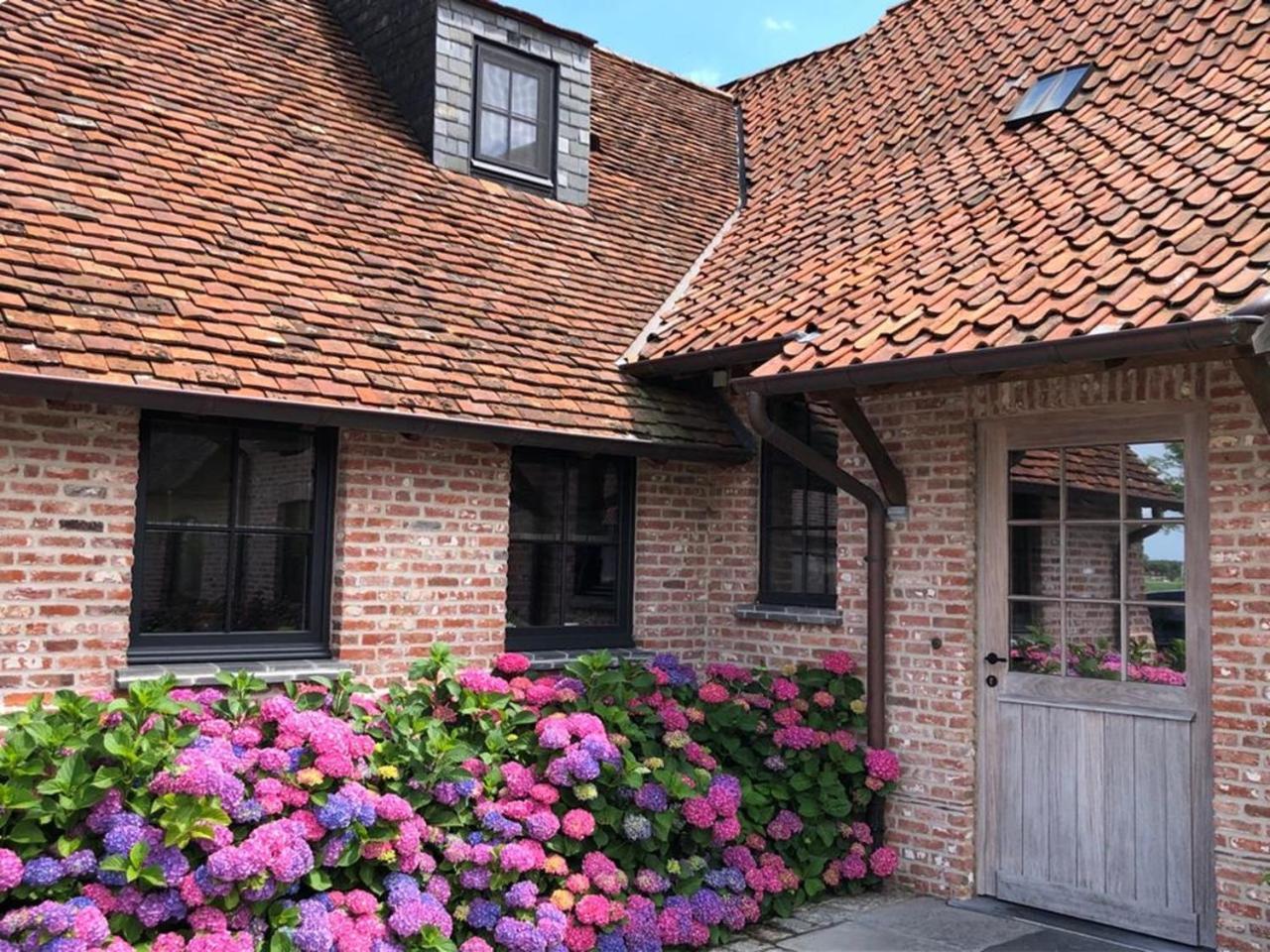 Hoeve Den Akker - Luxueuze Vakantiewoningen Met Privetuinen En Alpaca'S Nabij Brugge, Damme, Knokke, Sluis En Cadzand Exteriör bild