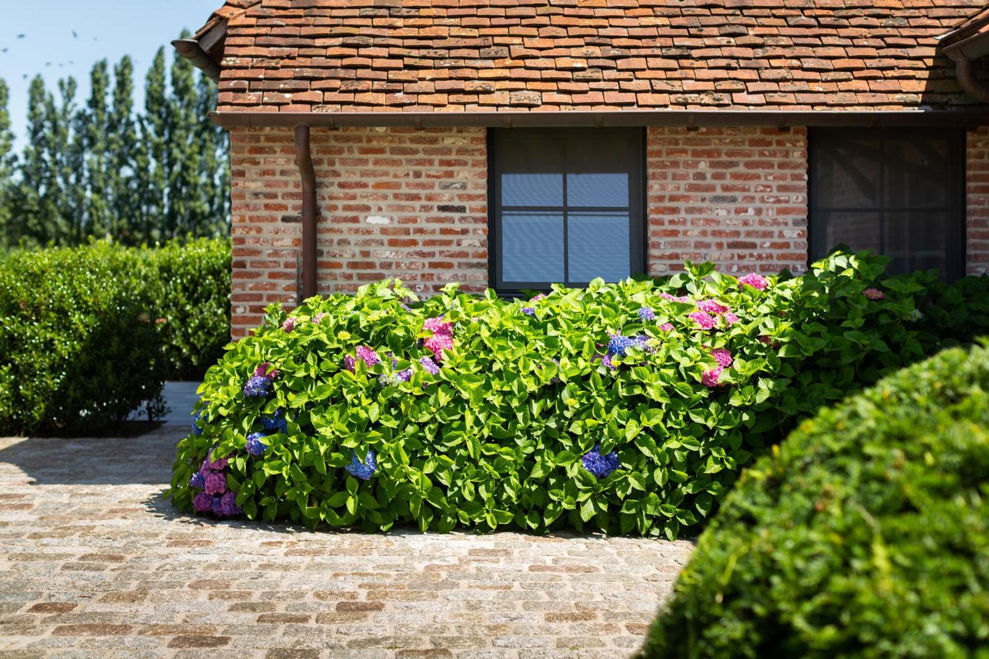 Hoeve Den Akker - Luxueuze Vakantiewoningen Met Privetuinen En Alpaca'S Nabij Brugge, Damme, Knokke, Sluis En Cadzand Exteriör bild