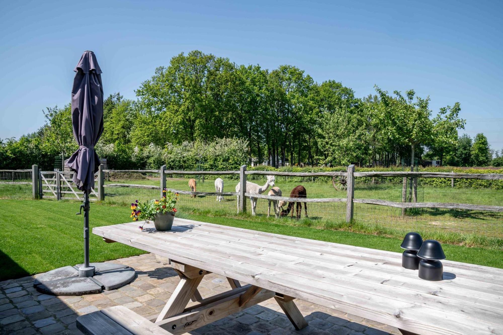 Hoeve Den Akker - Luxueuze Vakantiewoningen Met Privetuinen En Alpaca'S Nabij Brugge, Damme, Knokke, Sluis En Cadzand Exteriör bild